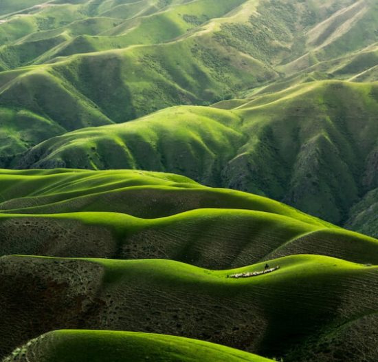 Rolling green hills in sunlight